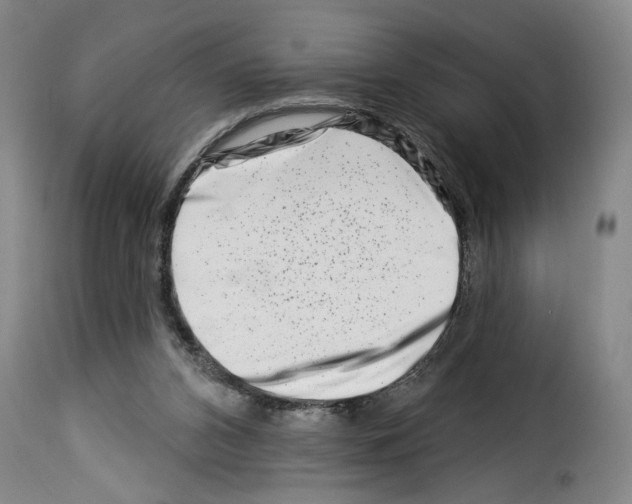 X0000114210112200911201031