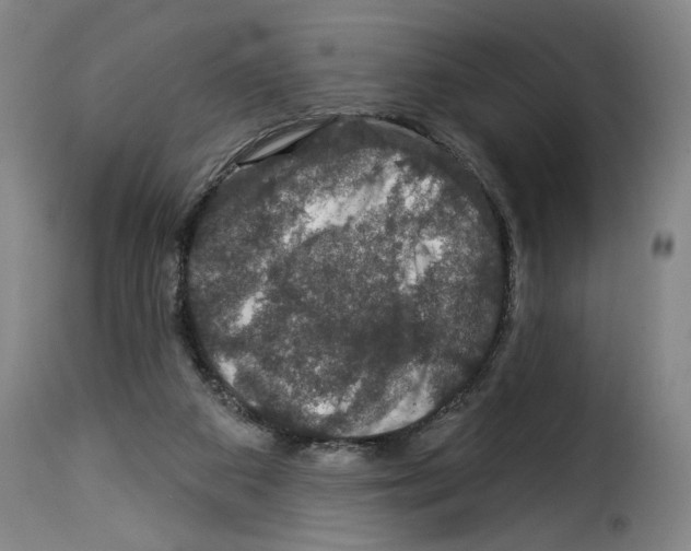 X0000114210113200911201031