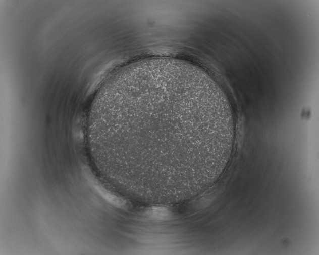 X0000114210114200911201031