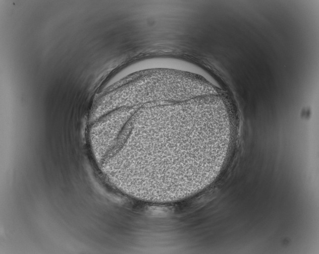 X0000114210115200911201031