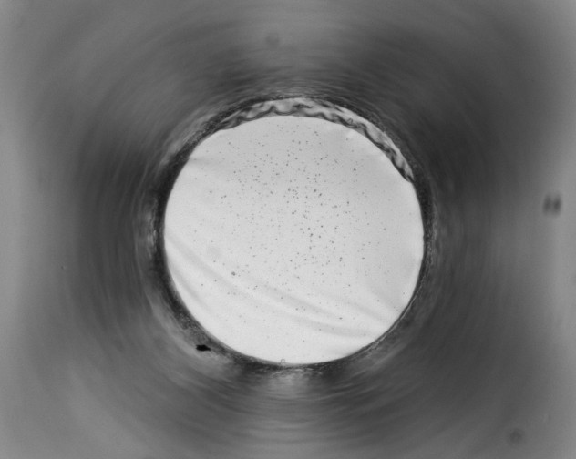 X0000114210116200911201031