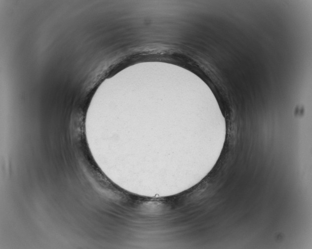 X0000114210119200911201031