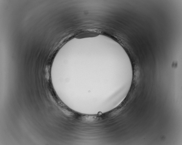 X0000114210121200911201031