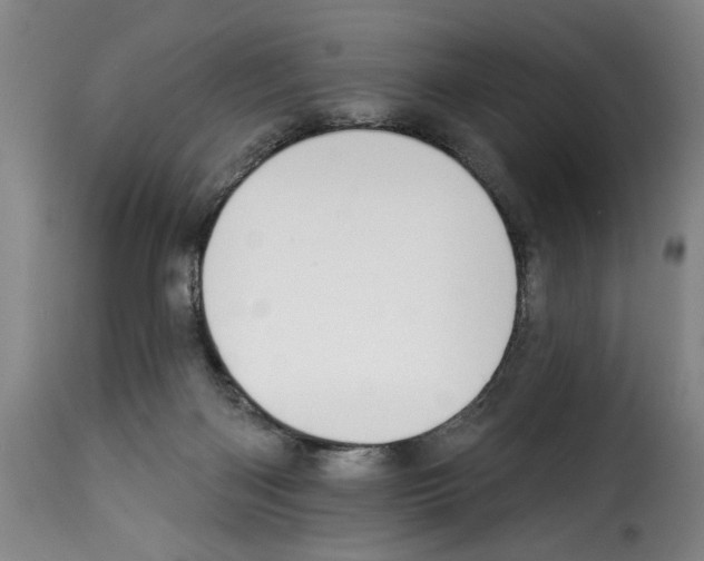 X0000114210122200911201031