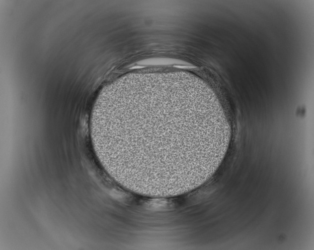 X0000114210123200911201031