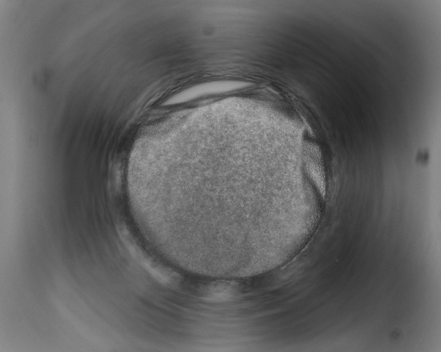 X0000114210124200911201031