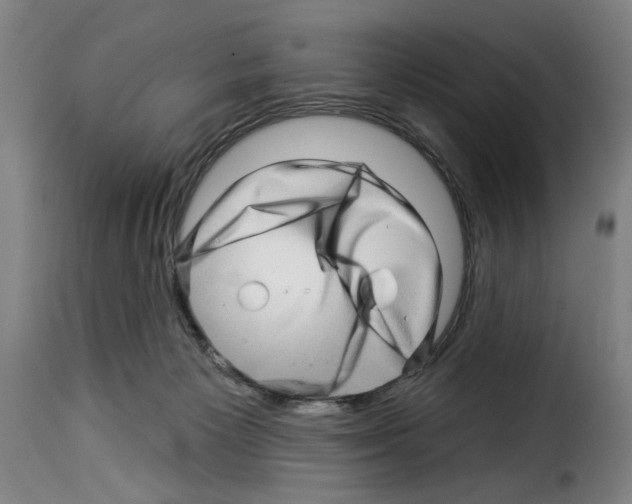 X0000114210125200911201031