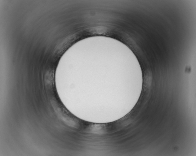 X0000114210126200911201031