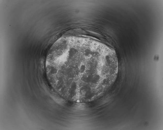 X0000114210127200911201031