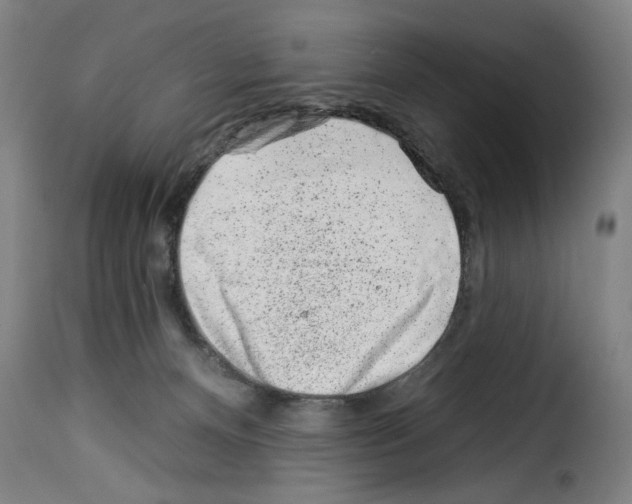 X0000114210128200911201031