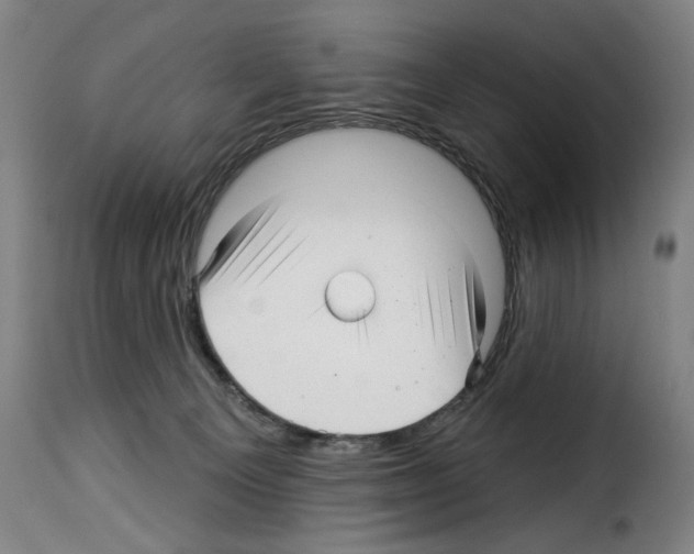 X0000114210129200911201031