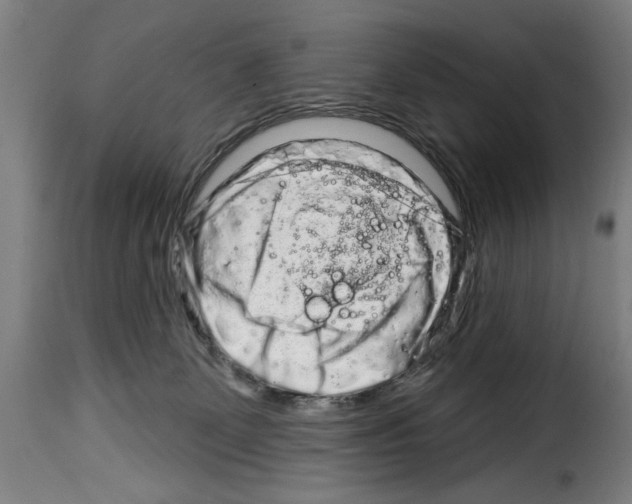 X0000114210131200911201031