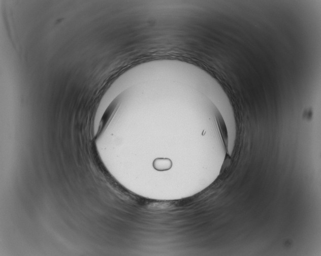 X0000114210133200911201031