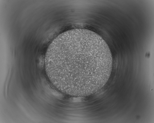X0000114210134200911201031