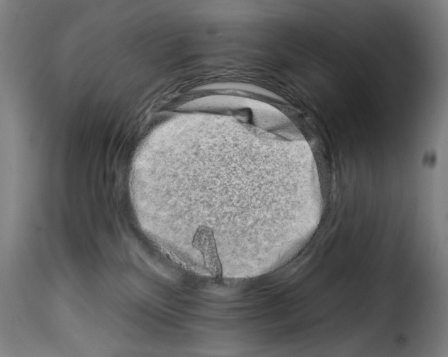 X0000114210136200911201031