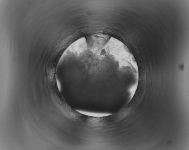 X0000114210139200911201031
