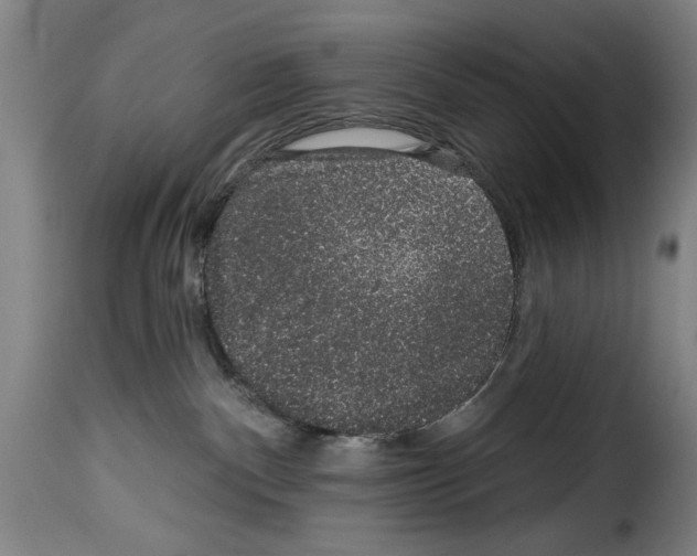 X0000114210140200911201031