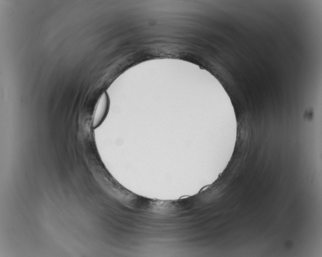 X0000114210141200911201031