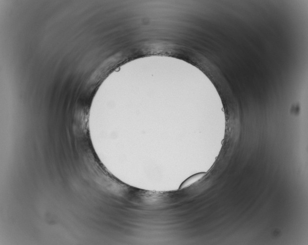 X0000114210142200911201031