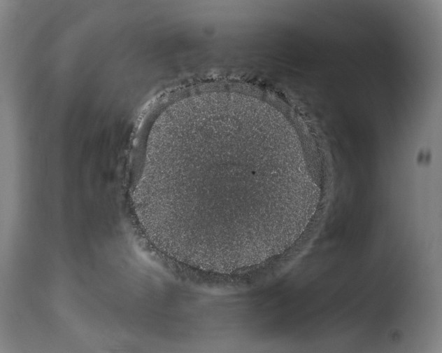 X0000114210144200911201031