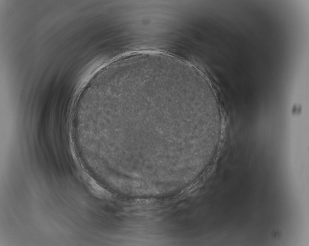 X0000114210145200911201030