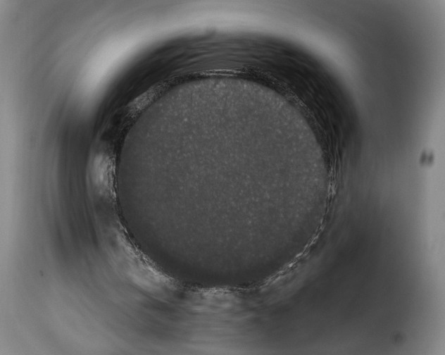 X0000114210146200911201030