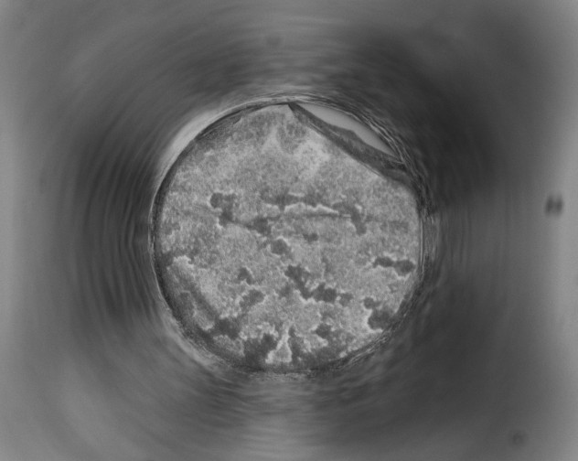 X0000114210147200911201030