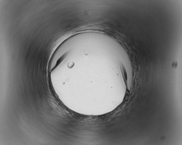 X0000114210148200911201030