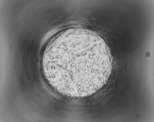 X0000114210149200911201030
