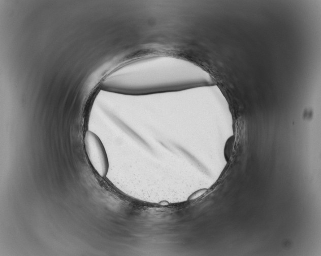 X0000114210150200911201030