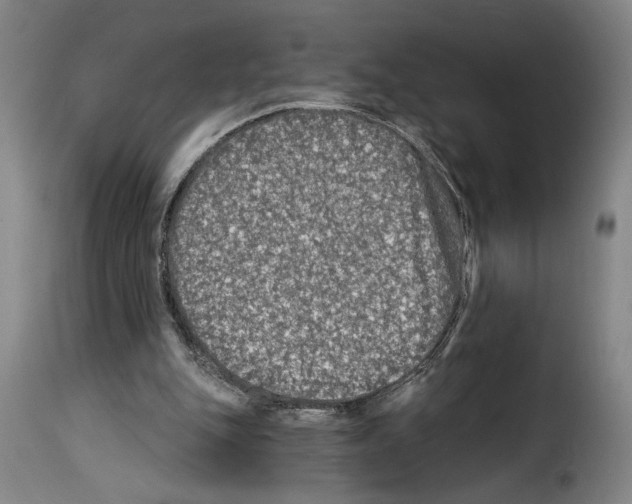 X0000114210151200911201030