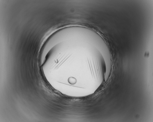 X0000114210152200911201030