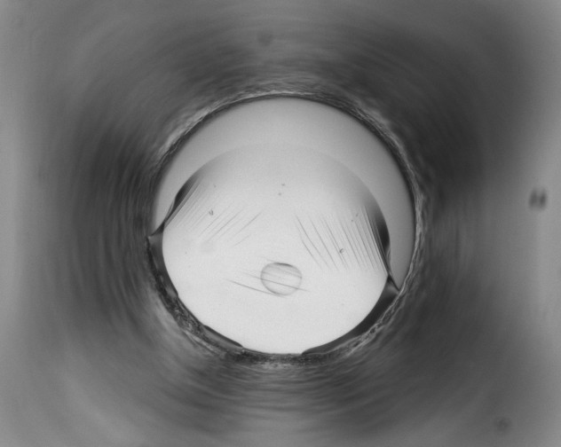 X0000114210154200911201030