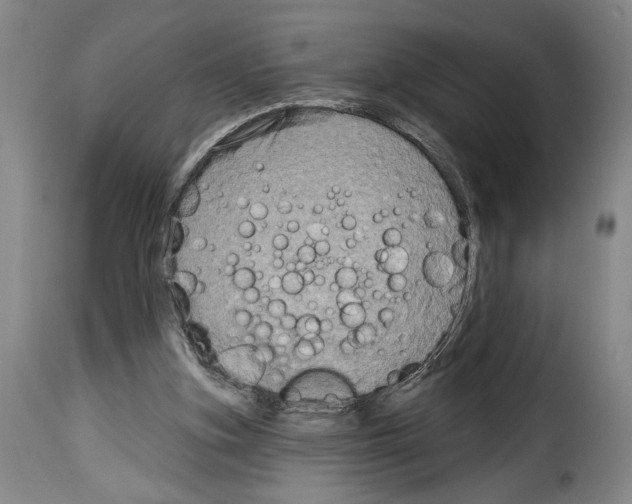 X0000114210155200911201030