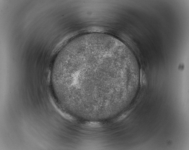 X0000114210157200911201030