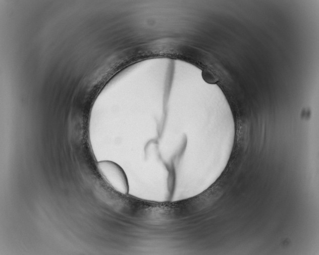 X0000114210158200911201030