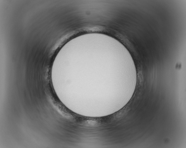 X0000114210159200911201030