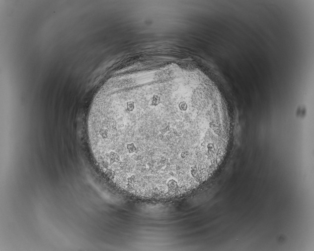 X0000114210161200911201030