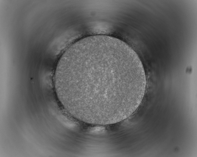 X0000114210162200911201030