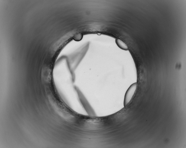 X0000114210164200911201030