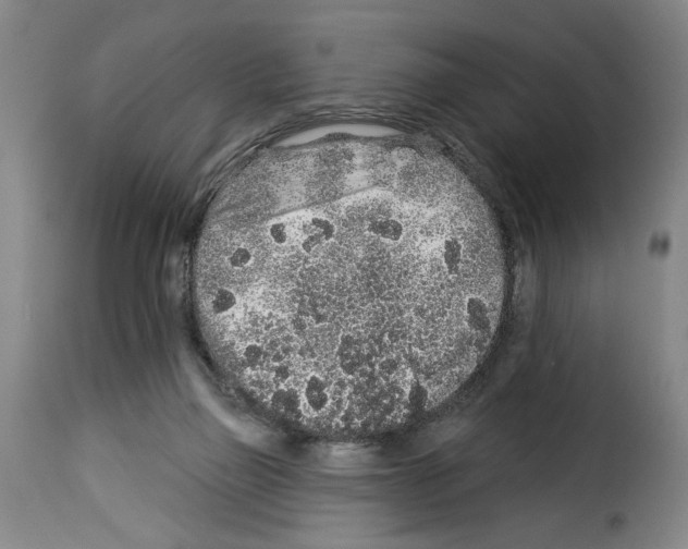 X0000114210165200911201031