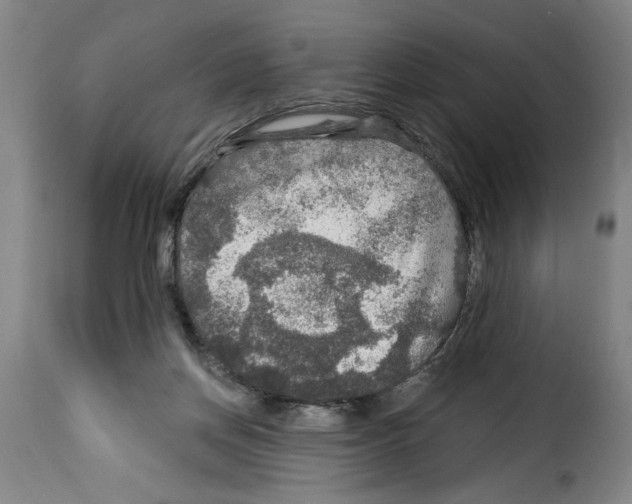 X0000114210166200911201031