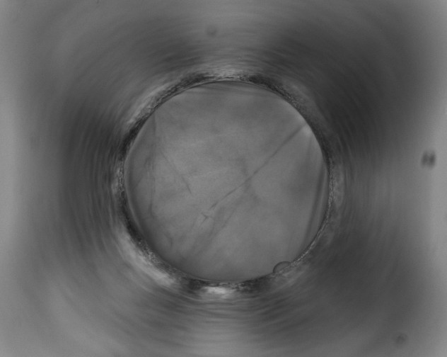 X0000114210167200911201031