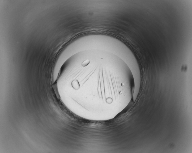 X0000114210168200911201031