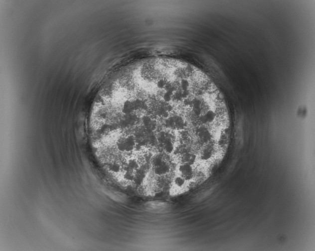 X0000114210169200911201031