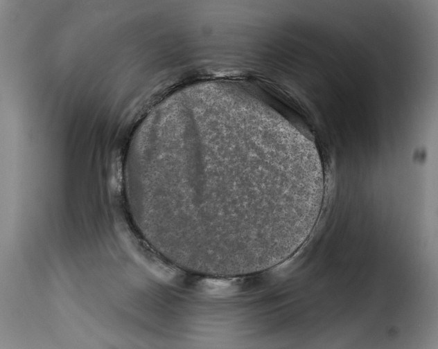 X0000114210170200911201031