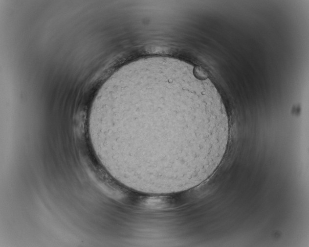 X0000114210171200911201031