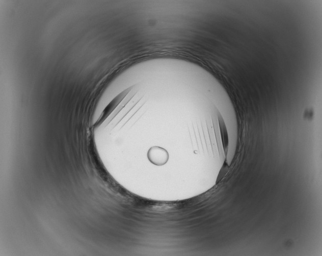 X0000114210172200911201031