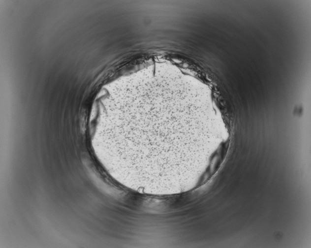 X0000114210174200911201031