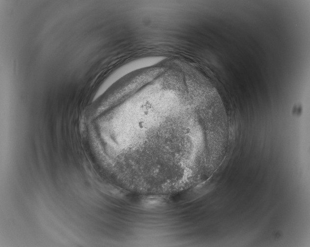 X0000114210175200911201031